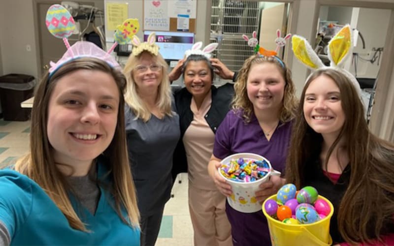Team With Easter Decorations