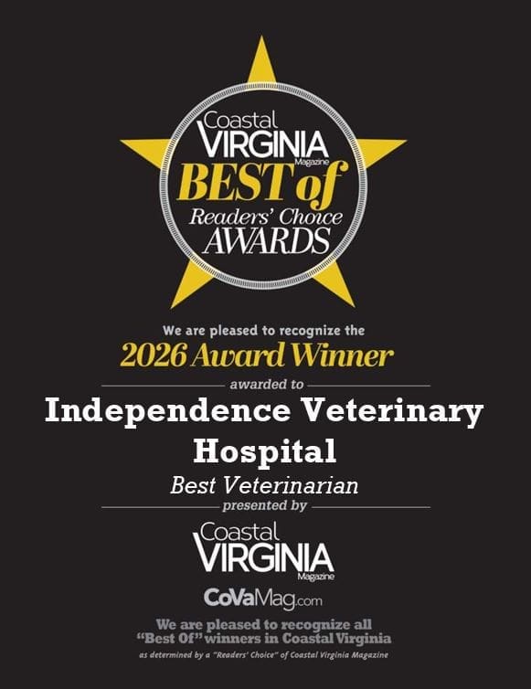 Best Of Veterinarian Award