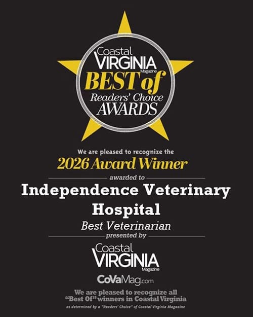 Readers Choice Best Of 2026 500